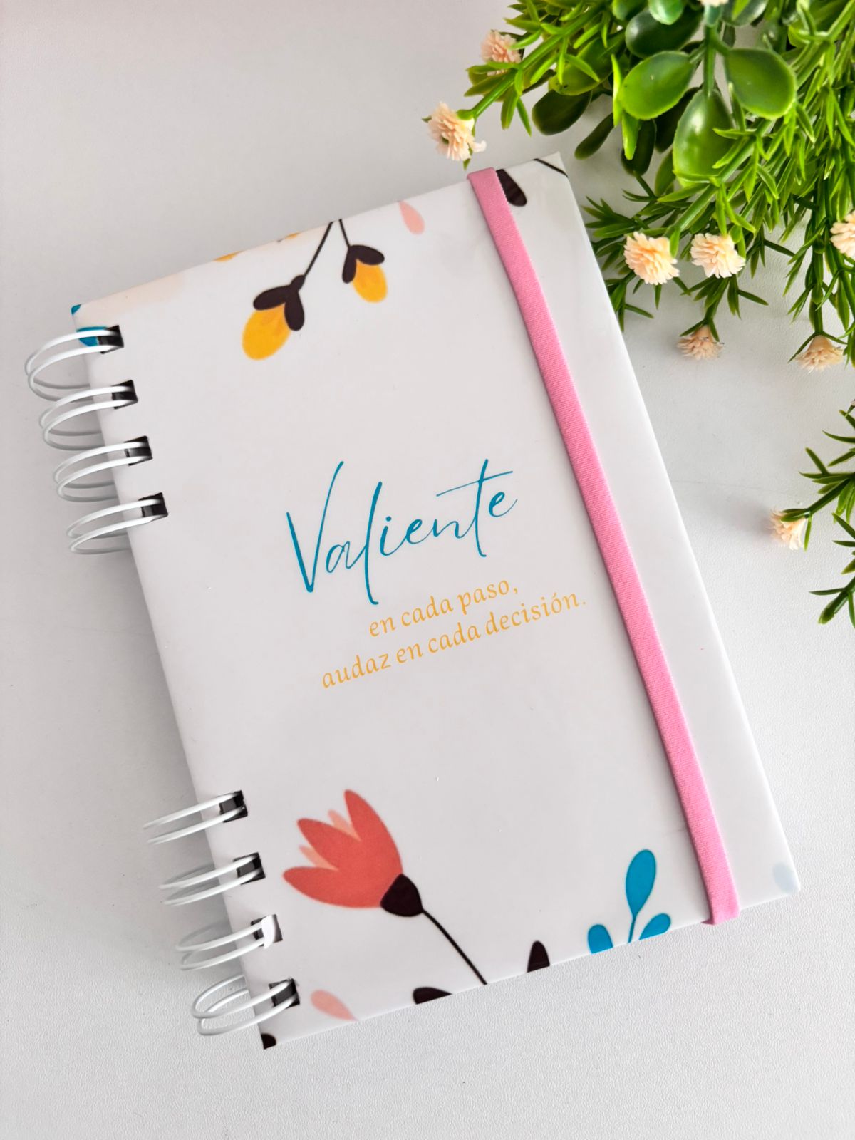 ✨ Agenda Mini  Diseños Estándar ✨