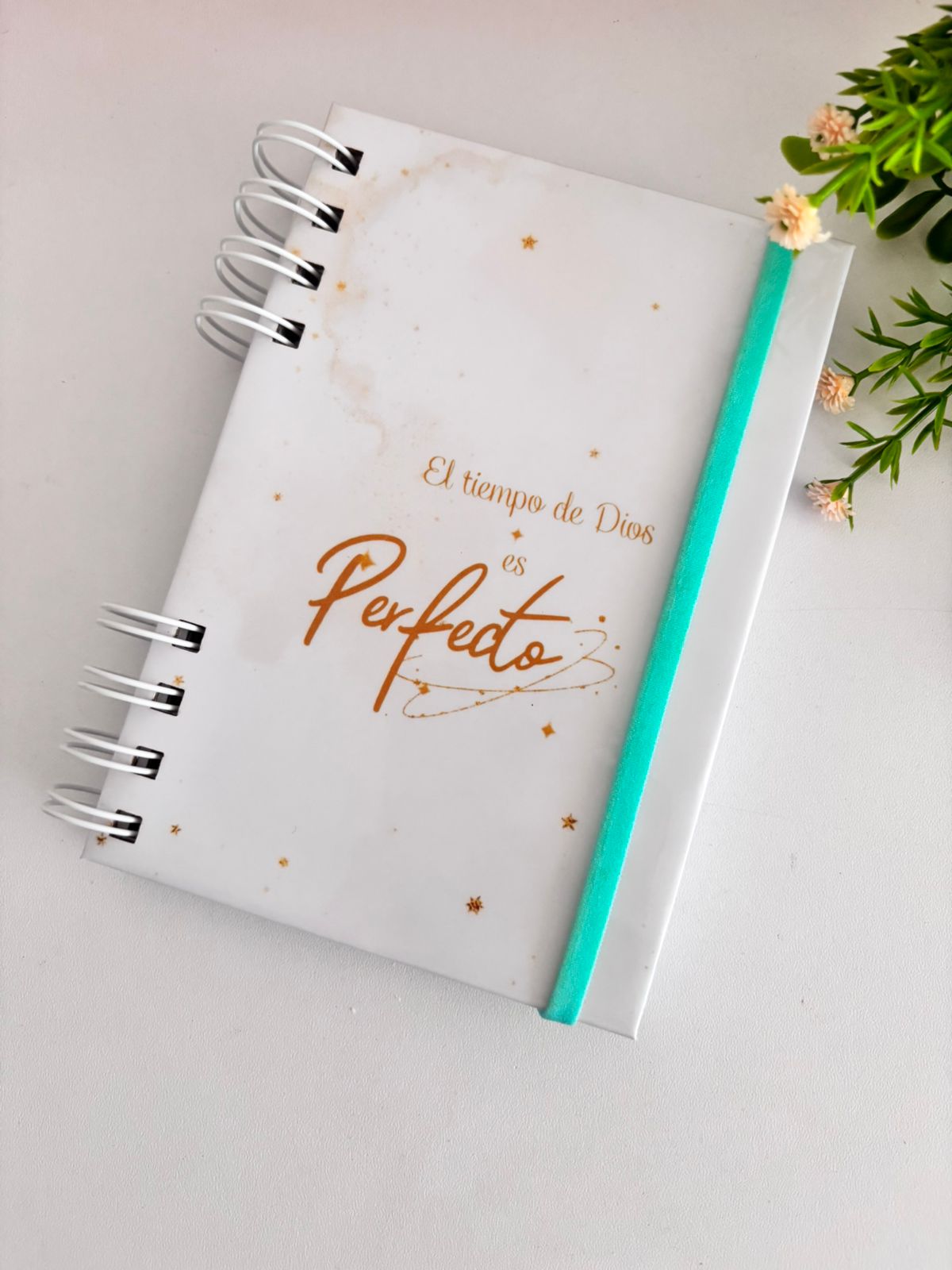 ✨ Agenda Mini  Diseños Estándar ✨